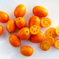 Kumquat fotka 5