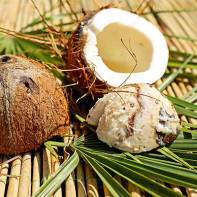 Kokosnötsfoto