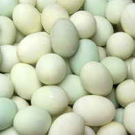 صورة بيض البط 5