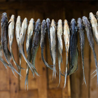 صورة للأسماك المجففة والمجففة 4