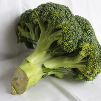 Fotografie z brokolice zelí