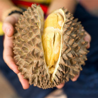 Photo durian 5