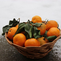 Photo de mandarines