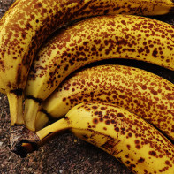 Bananes photo 5
