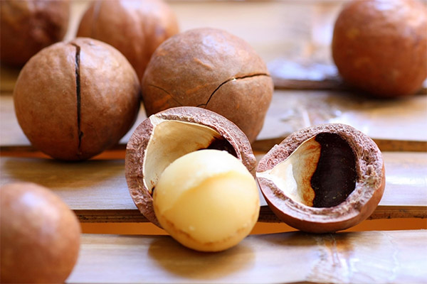 Hur man använder macadamia shell