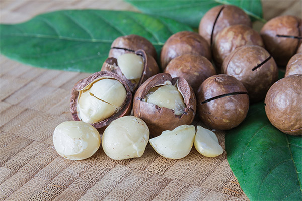 Fördelarna och skadorna av macadamia mutter