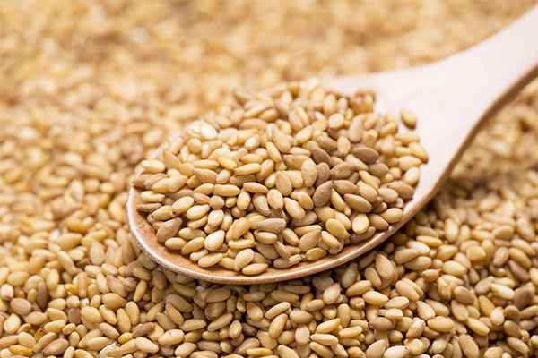 Výhody a poškození sezamových semen