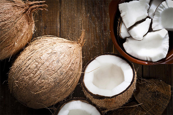Vad är kokosnöt bra för?