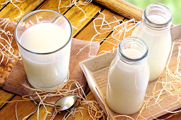 Co lze vyrobit z mléka