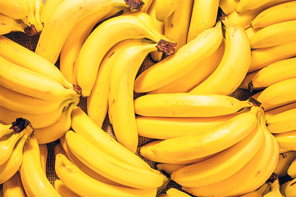 Faits intéressants sur les bananes