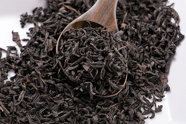 Zajímavá fakta o černém čaji