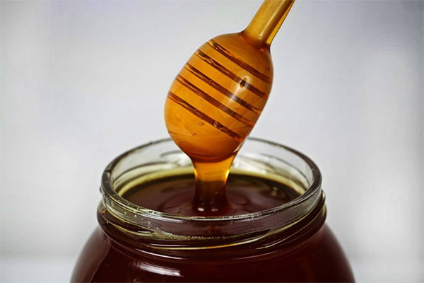 Hur man väljer och lagrar bovete honung
