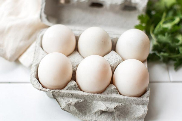 كيفية اختيار وتخزين بيض البط