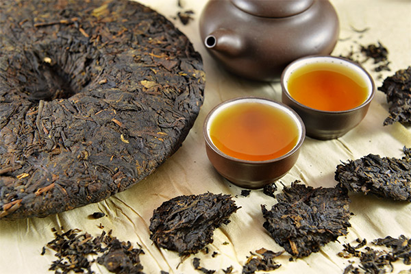 Les avantages et les inconvénients du thé Puer