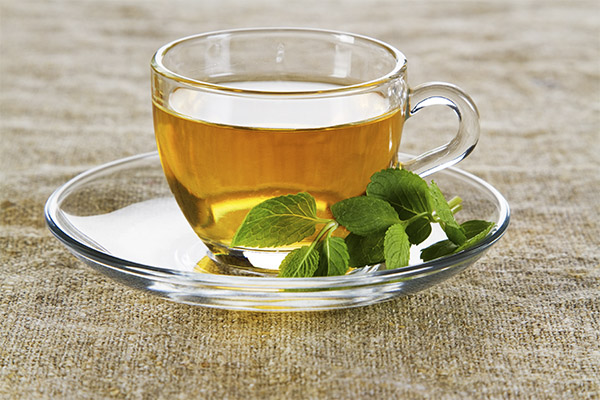 Les bienfaits et les inconvénients du thé à la mélisse