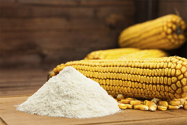 Výhody a poškození kukuřičné mouky