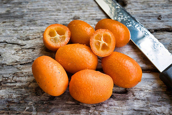 Výhody a škody kumquatu