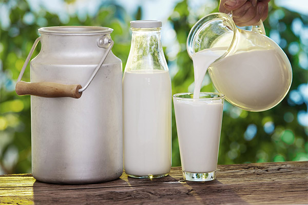 Výhody a poškození mléka