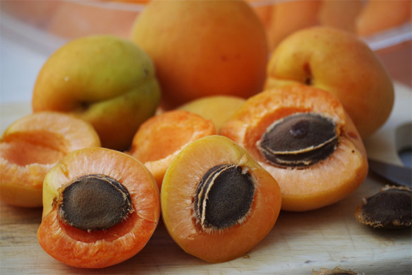 Noyaux d'abricot en cuisine