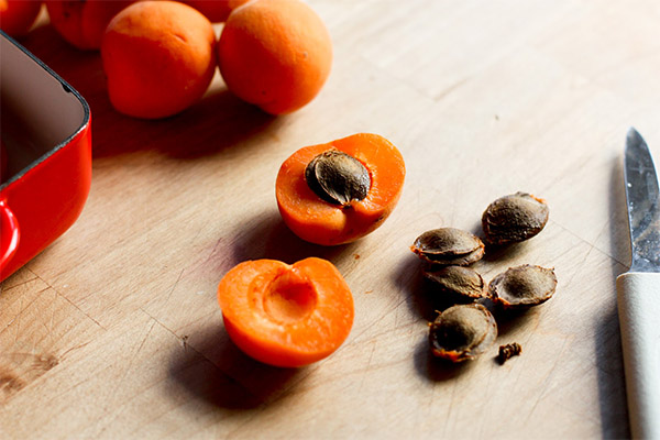 À quoi servent les noyaux d'abricot?