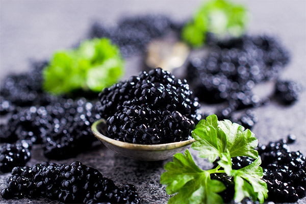 Caviar noir en médecine