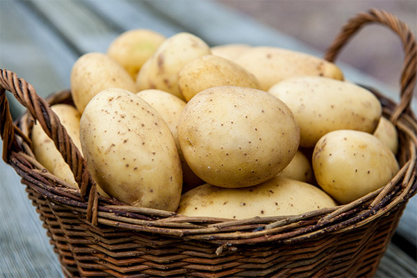 Comment choisir et conserver les pommes de terre