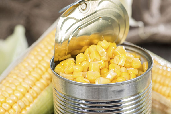Comment cueillir et conserver le maïs en conserve