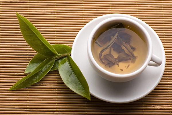 Výhody čaje z bobkového listu