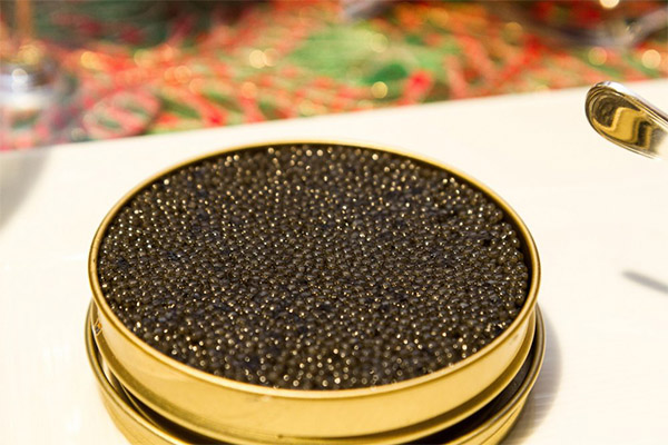 Les avantages et les inconvénients du caviar noir