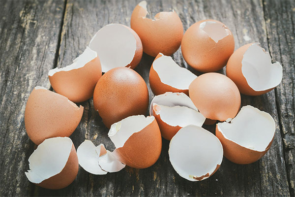 Výhody a poškození vaječných skořápek
