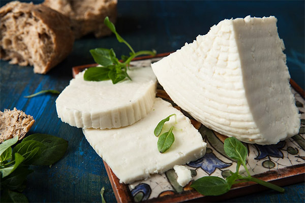Co jíst sýr Adyghe?