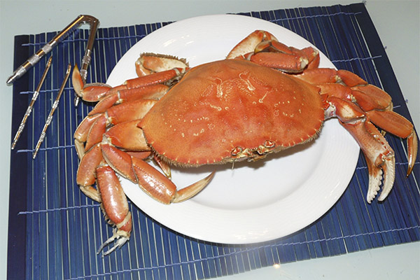 Faits intéressants sur les crabes