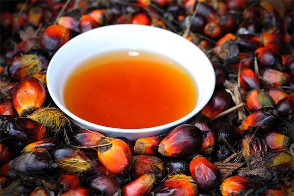 Faits intéressants sur l'huile de palme