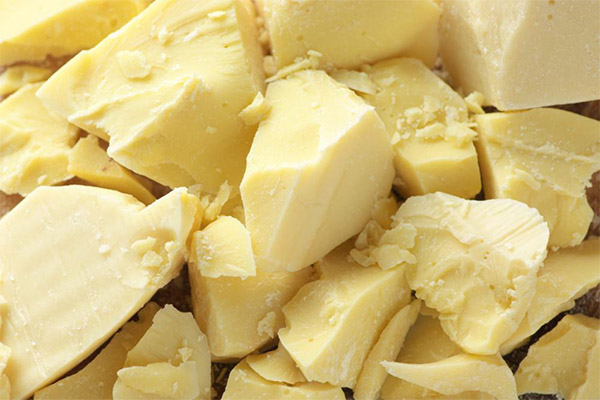Jak vyrobit kakaové máslo
