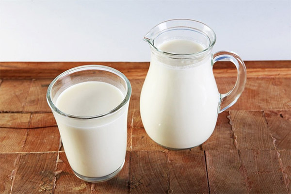 Jak vybrat a uložit kozí mléko