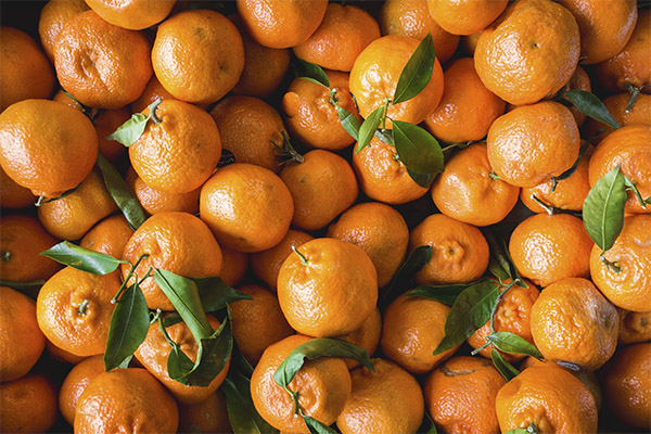 Comment choisir et conserver les mandarines