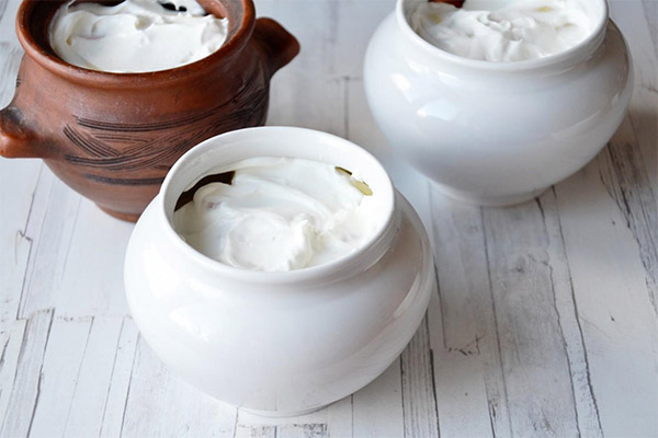 Užitečné vlastnosti jogurtu
