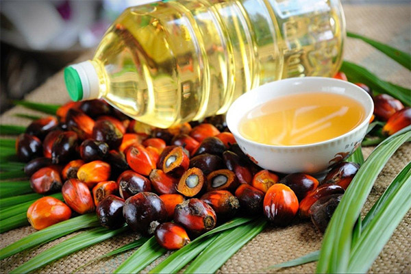 Les avantages et les inconvénients de l'huile de palme