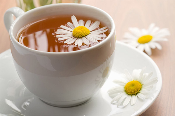 فوائد ومضار شاي البابونج