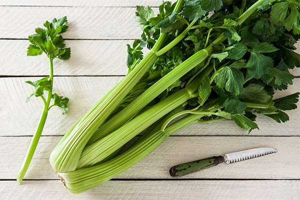 Výhody a poškození celeru