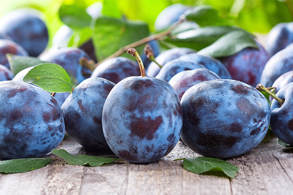 Les avantages et les inconvénients des prunes