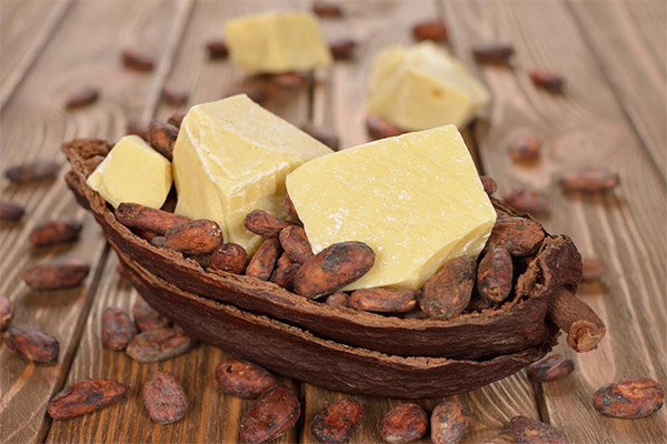 Použití kakaového másla v medicíně