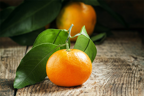 Recettes de médecine traditionnelle à base de mandarine