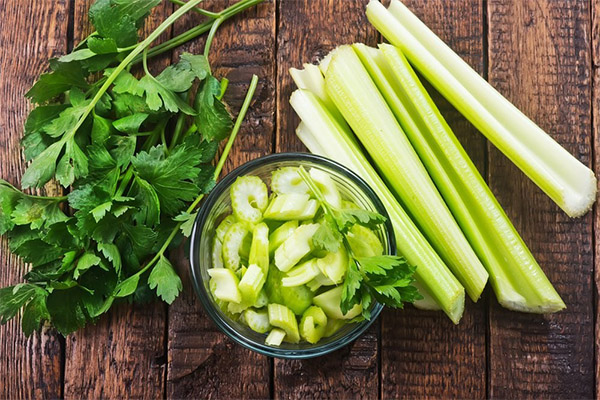 Recepty tradiční medicíny z celeru