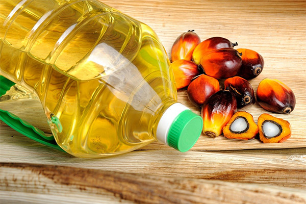 Dommages et contre-indications pour l'huile de palme