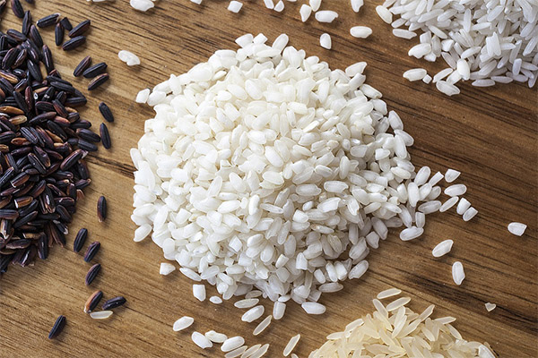 Zajímavá fakta o rýži
