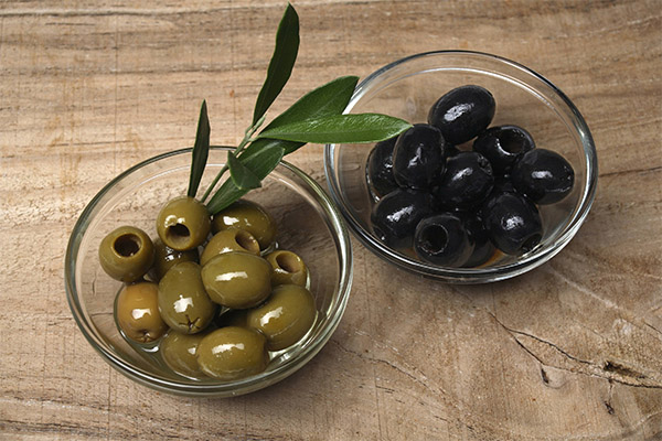 Olivy (olivy) v medicíně