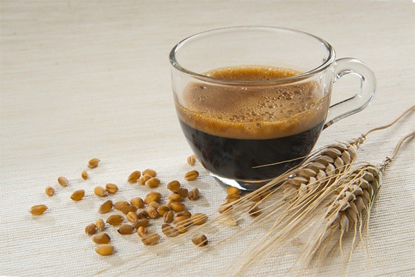 Výhody a poškození kávy ječmene