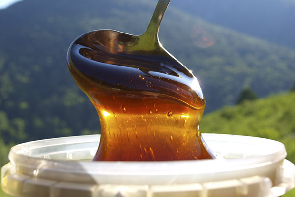 Jak si vybrat a uložit horský med