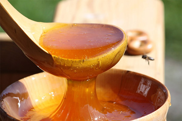 Výhody a poškození horského medu